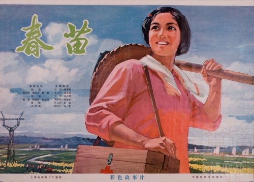 小学学历证书编号